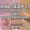 Hestia（エスティア）