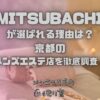 MITSUBACHI（ミツバチ）