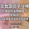 ミセスの子守唄