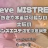 Reve MISTREA（レーヴ ミストレア）