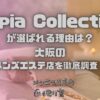 Sepia Collection（セピアコレクション）