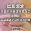 ヒルガオ