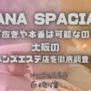 ANA SPACIA（アナスパシア）
