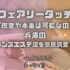 フェアリータッチ