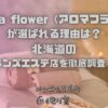 aroma flower（アロマフラワー）