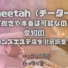 Cheetah（チーター）