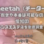Cheetah（チーター）