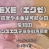 EXE（エグゼ）