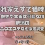隠れ家えすて猫時計