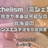 Michelism（ミシェリ）