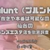 Pulunt（プルント）