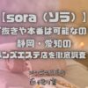 sora（ソラ）