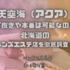 天空海（アクア）