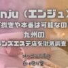 enju（エンジュ）